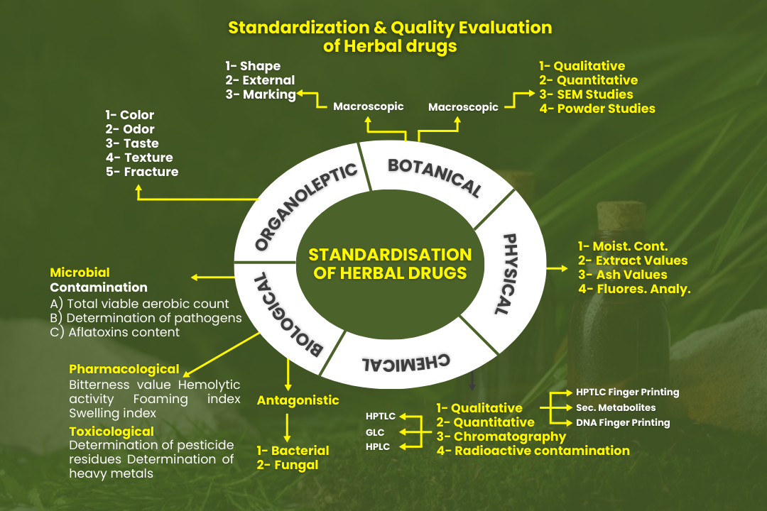 Mimansha Product Graphic (2).png__PID:63522ceb-4a84-46c6-9352-133a27ae421e