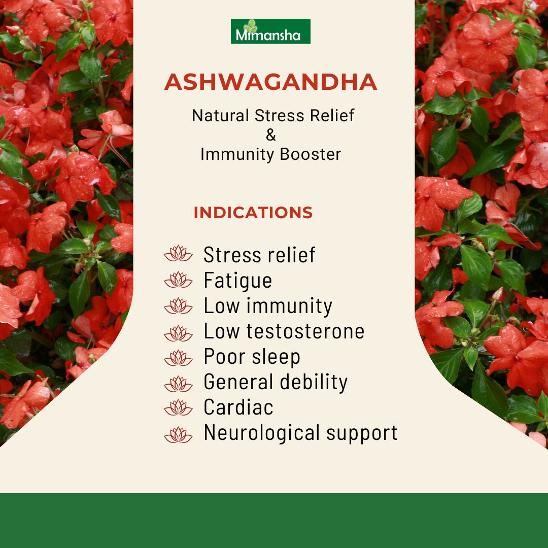 Mimansha Ashwagandha Capsules – Stress Relief & Vitality Support