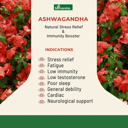 Mimansha Ashwagandha Capsules – Stress Relief & Vitality Support