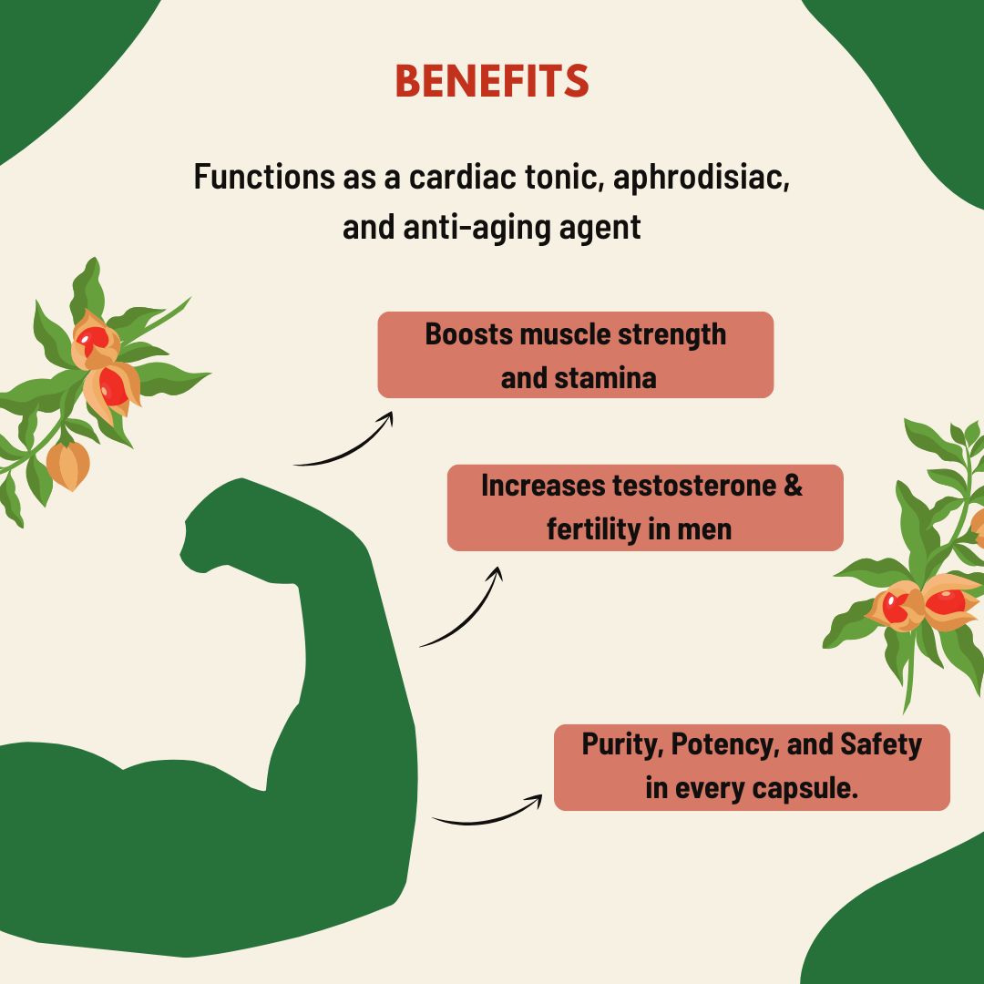 Mimansha Ashwagandha Capsules – Stress Relief & Vitality Support